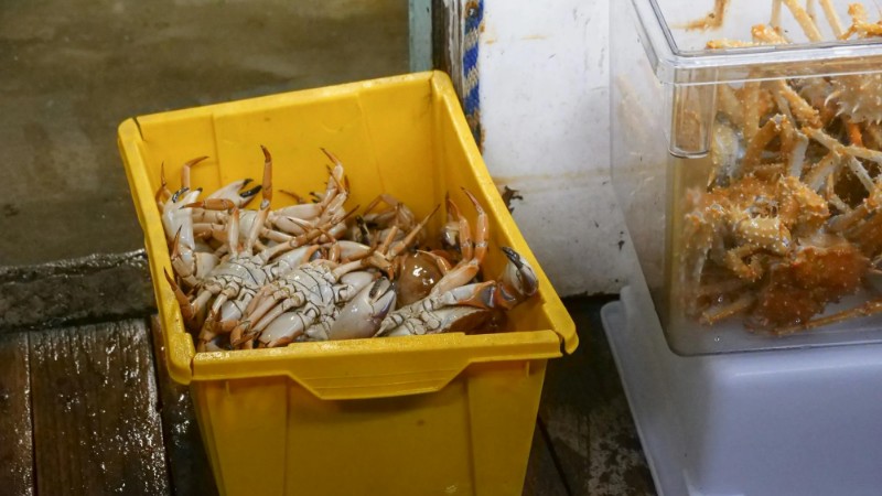 Close-up of fresh crabs in a yellow box, perfect for seafood markets, cuisine, or industry., tags: handelsmissie - pexel